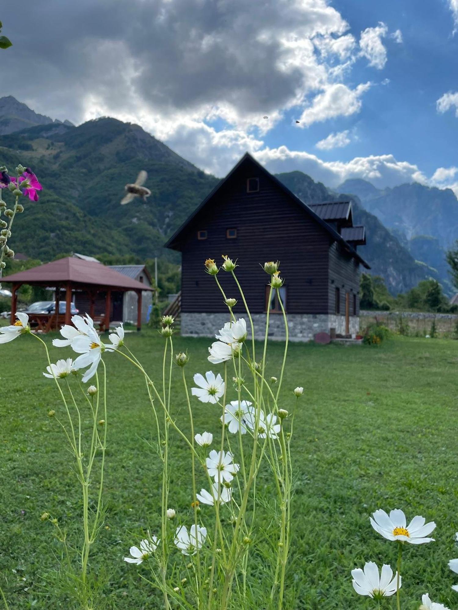 Te Sofra Hotel Shkodër Buitenkant foto